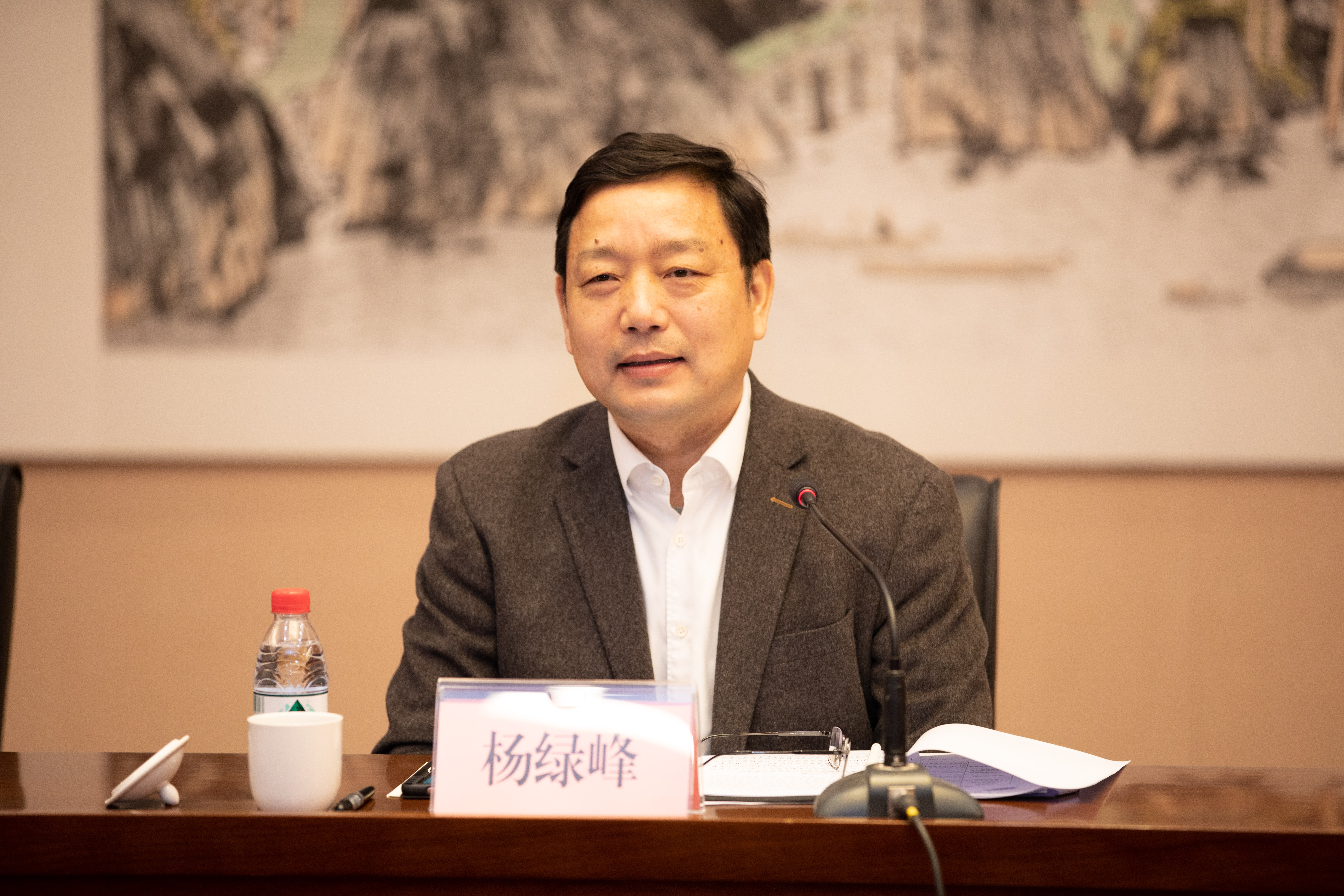 楊綠峰廳長在調研座談會上講話