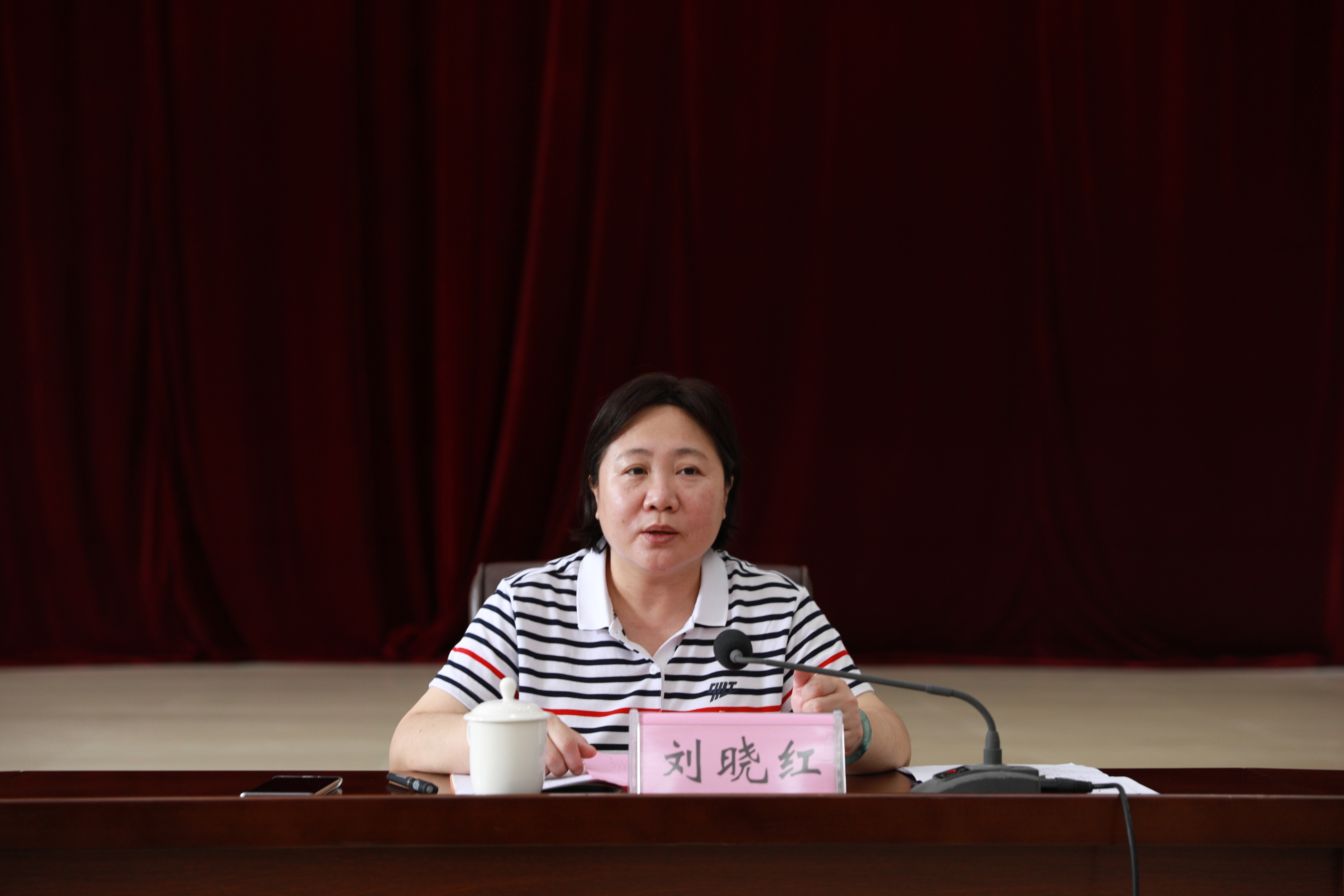 劉曉紅書記講話